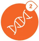 Restores Youthful Epigenome